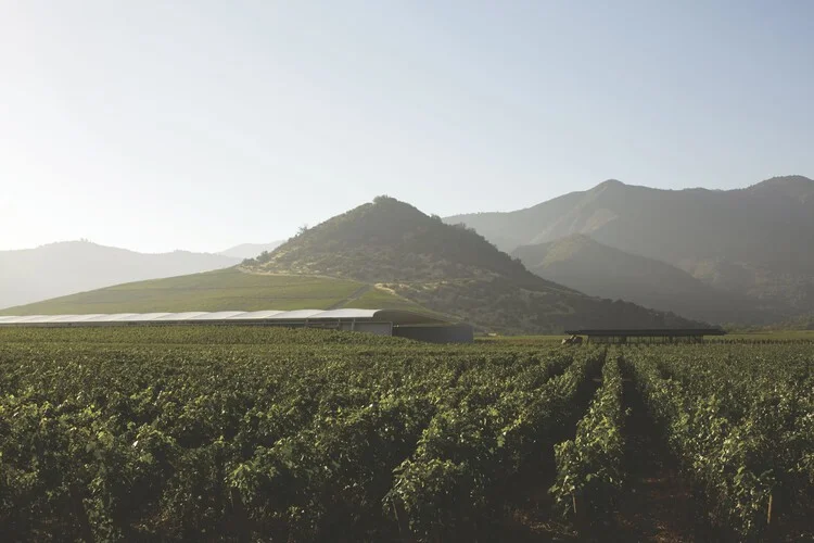 Smiljan Radić Clarke: Get to Know the 2026 Pritzker Winner's Work - Image 46 of 64